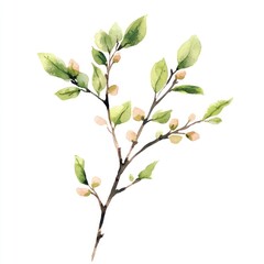 Little branch watercolor leaves design.