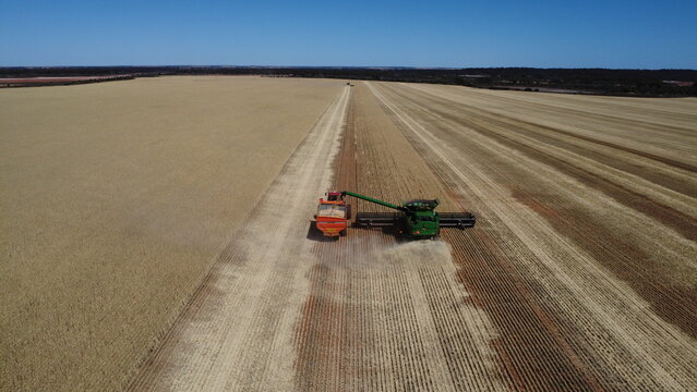 Harvester unloading into Chaser Bin