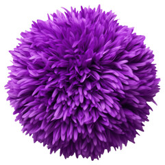 Naklejka premium Vibrant fluffy purple pom-pom resembling a chrysanthemum flower