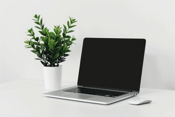 Laptop mockup laptop plant mouse.