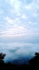 Serene cloudscape over city with trees and overcast sky