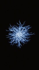 Fototapeta premium Abstract blue light burst on black background