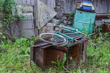 Old Bicycle Abandoned in Overgrown Backyard