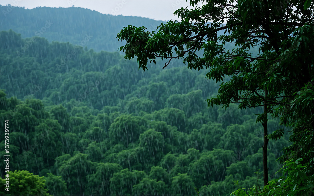 Poster lush green forest with misty mountains in the distance. dark foliage in foreground branches creates 
