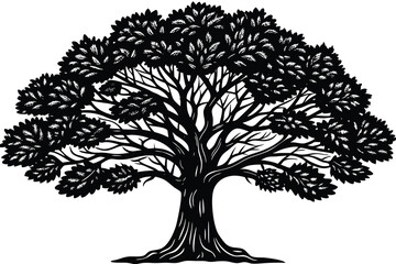 Obraz premium Teak tree Isolated flat vector illustration.