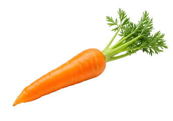 Single orange carrot with green leafy top, clean and crisp, isolated on white