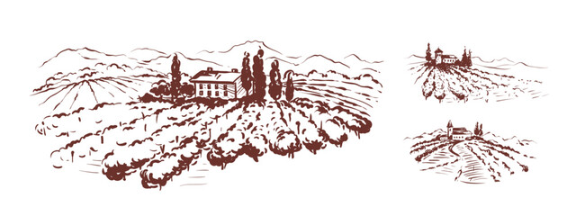 Fototapeta premium Abstract landscape with vineyard. Set vector design elements for label with italian landscape, graphic style, hand drawn author's drawing
