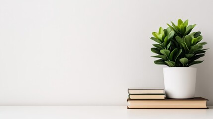 Clean and modern office workspace showcases a sleek desk with a laptop, stack of books, and minimalist potted plant, perfect for creating a productive atmosphere