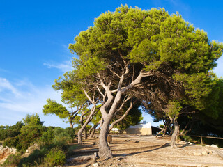 Cap de la Nau, Spanien