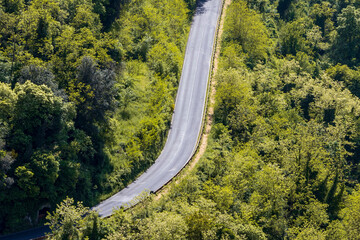 highway in the forest in Tuscany