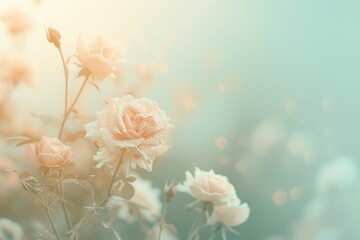 Tiny roses gradient background backgrounds outdoors blossom.
