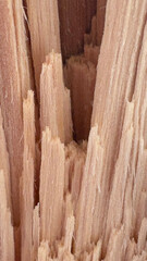 wood crack texture background