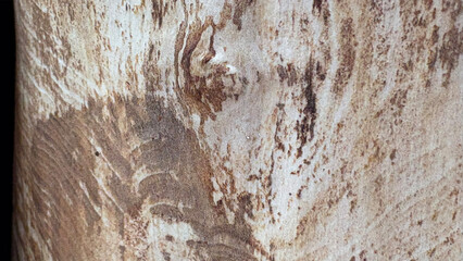 wood texture background