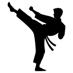 karate kick silhouette, martial arts, combat training vector illustration