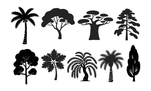 A collection of tree silhouettes, including Oak, Pine, Willow, Cypress, Palm, and other trees. Vector black flat illustrations isolated on transparent background