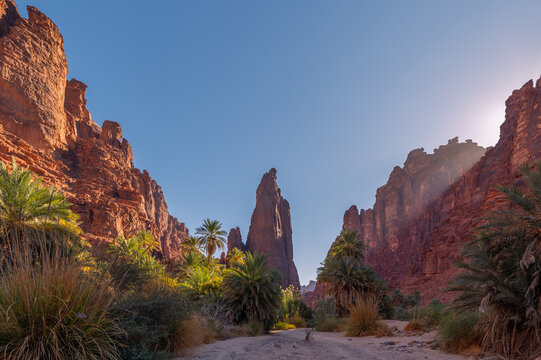 sunset sunrise in Wadi Disah, with beautiful rock and date tree in Tabuk,  Saudi Arabia.
