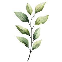Fototapeta premium Watercolor Leaves Branch: a serene, artful illustration of a green leaf branch, painted with watercolors, ideal for design and decor.