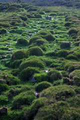 Groundwater spring in a very green mountain area due to humidity