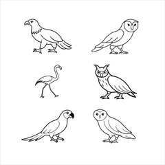 Fototapeta premium Bundle of Bald Eagle, Barn Owl, Flamingo, Great Horned Owl, Macaw, Snowy Owl Birds Line Art Vector Illustration