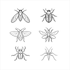 Bundle of Exotic and Colorful Insects Line Art Vector Illustrations: Cicada, Jewel Beetle, Leaf Insect, Orchid Mantis, Stag Beetle, Stick Insec
