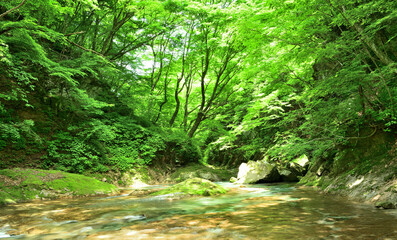 栃木県那須塩原市　木の俣園地を流れる木の俣川