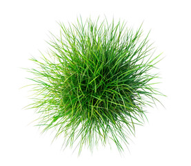 Minimalistic Top View of Grass Isolate on Transparent Background, cutout, png