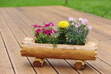 Fototapete bei efototapeten.de bestellen   