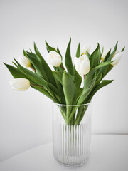 White tulips bringing spring joy in a modern glass vase copy space