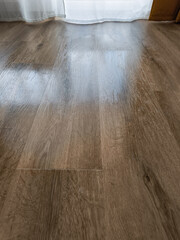 Sunlight reflecting on cleaned laminate wood floor in a room