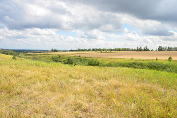 Obraz premium A beautiful summer landscape with a vast wheat field under a cloudy sky