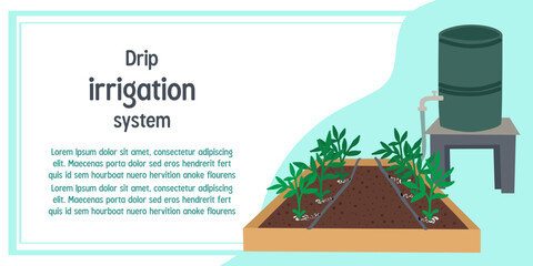 Vector illustration of a drip irrigation system featuring plants in a garden bed. Includes water barrel and hoses