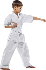 Full body photo of little boy, motivated sportsman in white kimono training against transparent background. Concept of martial art, healthy lifestyle, sport, action, combat sport, energy. © Lustre Art Group 