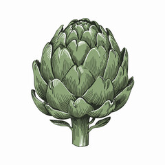 Obraz premium Woodcut Style Artichoke Illustration in Black and White