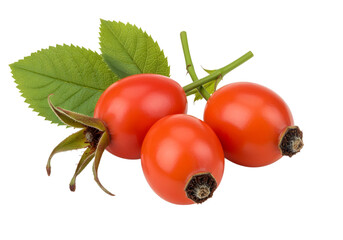 Rose hip isolated on transparent background
