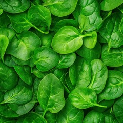 Close up view of vibrant green spinach leaves, densely packed together. The image is a flat lay, showing the texture and color of fresh spinach.