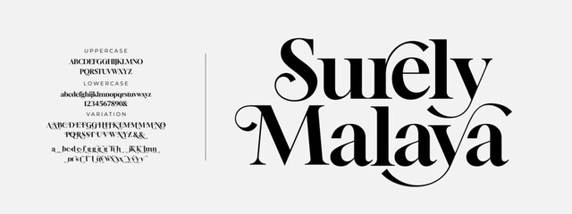 Elegant Font Uppercase Lowercase And Number. Classic Lettering Minimal Fashion Designs. Typography modern serif fonts regular decorative vintage concept. vector illustration