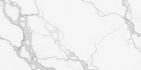 Obraz premium Soft veined white marble background with natural patterns, texture, background