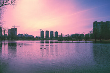 Fototapety na wymiar - Fototapeta24.pl