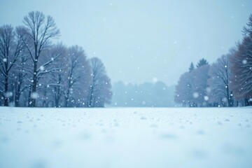 Fototapeta premium Snow gently falling on a serene and untouched winter landscape, covering the field in a blanket of white, untouched, winter