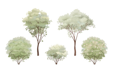 Watercolor set of trees and bushes, isolated collection for your delicate nature design. 