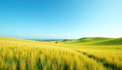 Obraz premium Vast open field with rolling hills and a bright blue sky, fields, desolate