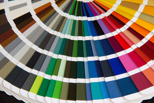 color palette guide close-up