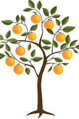 Isolated Orange Tree with Green Leaves