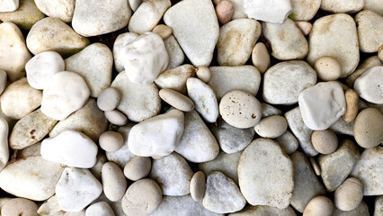 White pebbles are ideal for creating stunning designs in garden landscaping. They bring texture, natural beauty, and a touch of elegance to outdoor spaces effortlessly.
