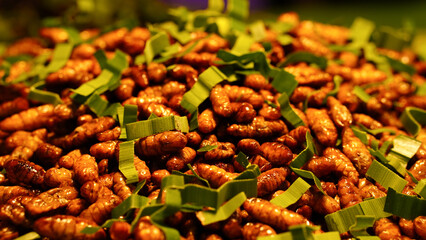 Close-up of fried silkworm larvae, a Thai food sold at tourist attractions in Thailand.