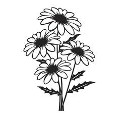 Daisies flower vector