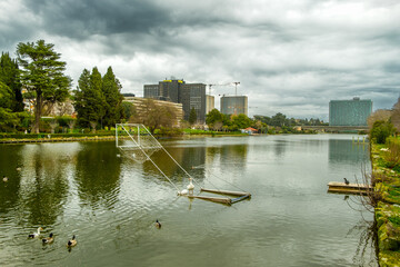 Laghetto Eur, Roma, Lazio, Italy, Europe