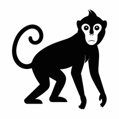 Obraz premium Monkey vector Silhouette on white background