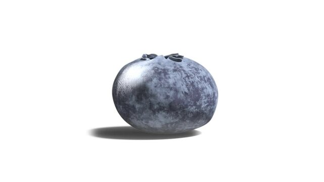 Fresh blueberry berry, looped rotation, isolated on white background