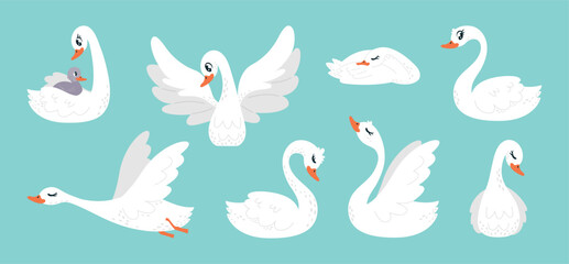 Cartoon swan. White swans in different poses. Beautiful fairytale birds, wild population of rivers lake ponds. Cute tiny duckling bird with mother, classy vector set © LadadikArt